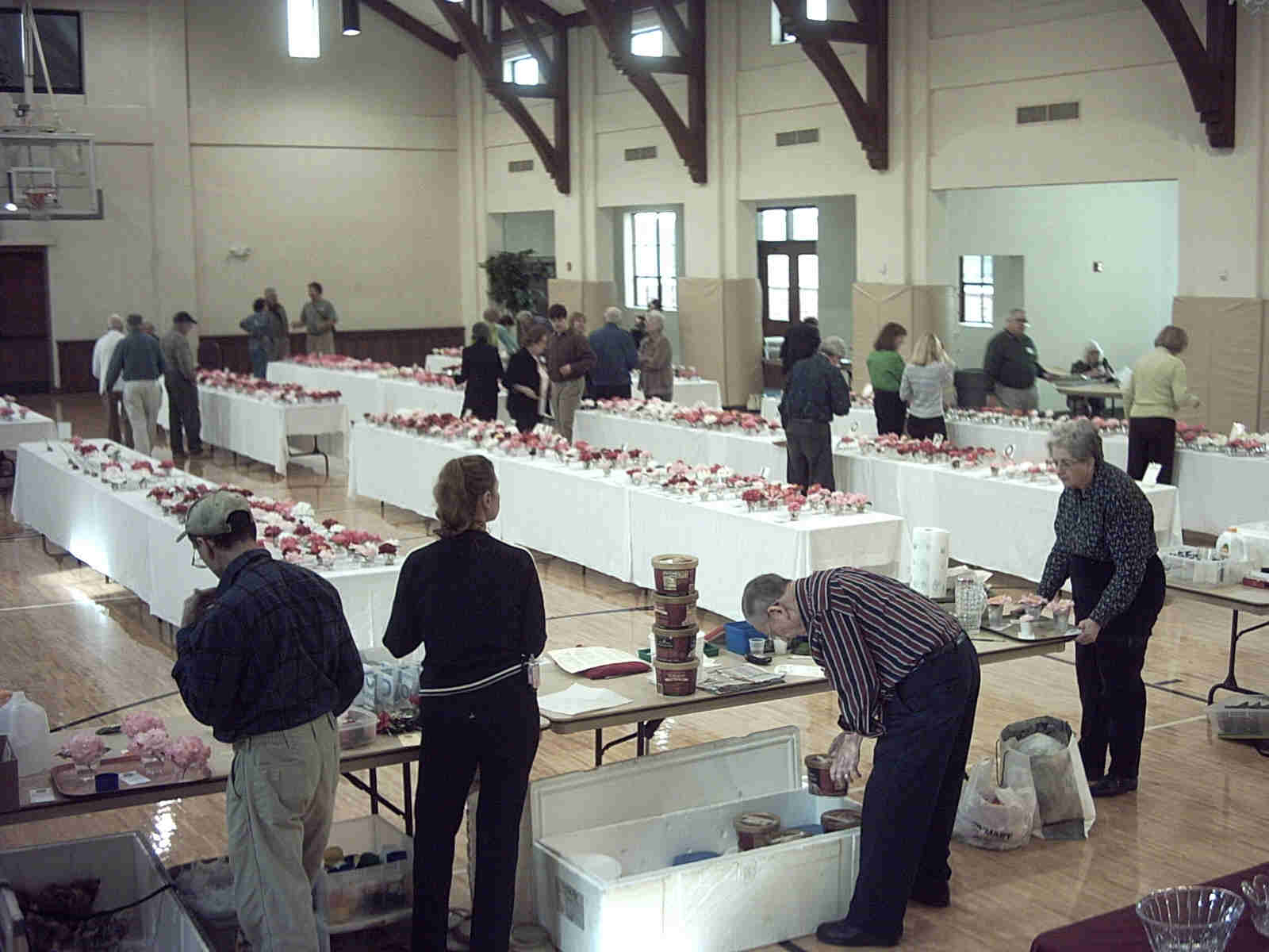 Setting up the Blooms