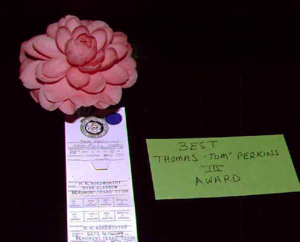 Best Thomas Perkins - Hyman Norsworthy