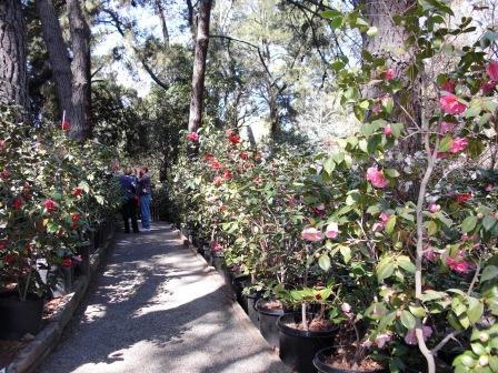One of the Tour Gardens at ACS Conference