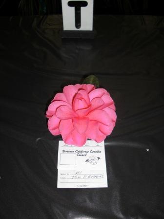 Tom Perkins Camellia at Modesto, CA Camellia Show