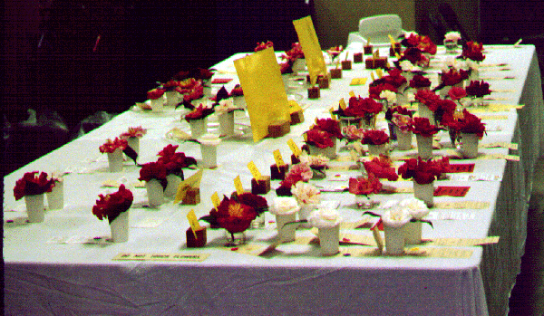 Small Grower & Lincoln County Table