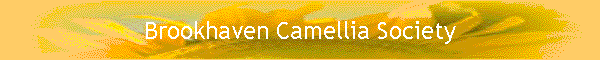 Brookhaven Camellia Society