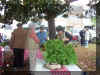 100_0931.JPG (750048 bytes)