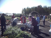 LCMG in Herb Garden at Crystal Springs