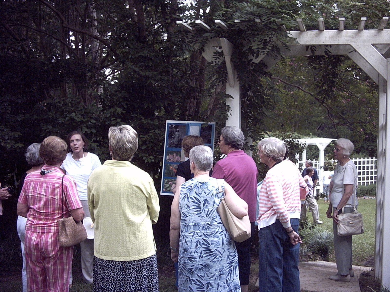 Camellia "room" at Welty Home